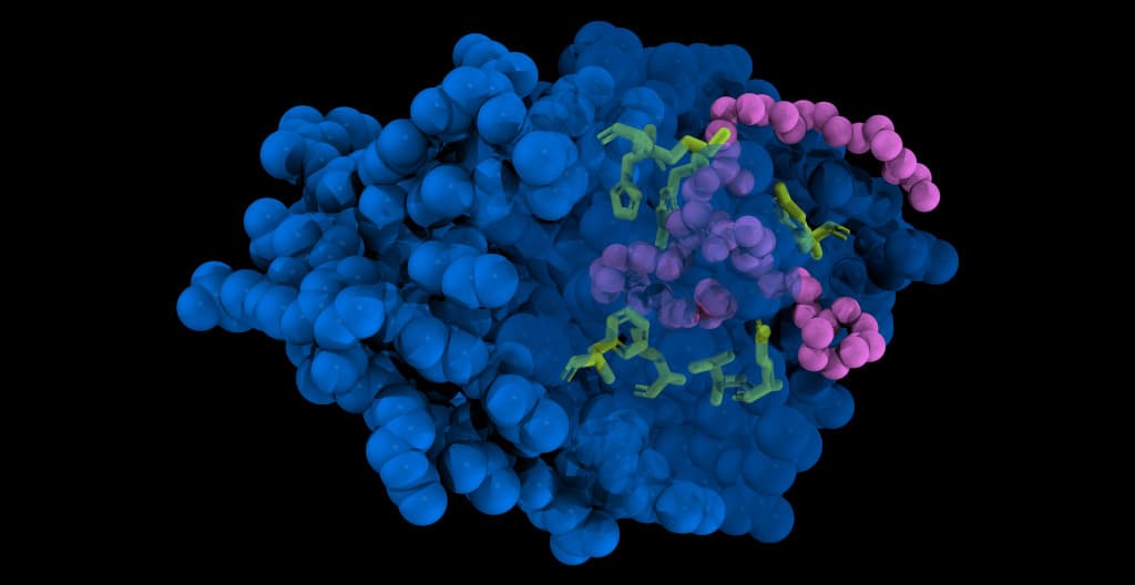 CORAL AI Technical Review